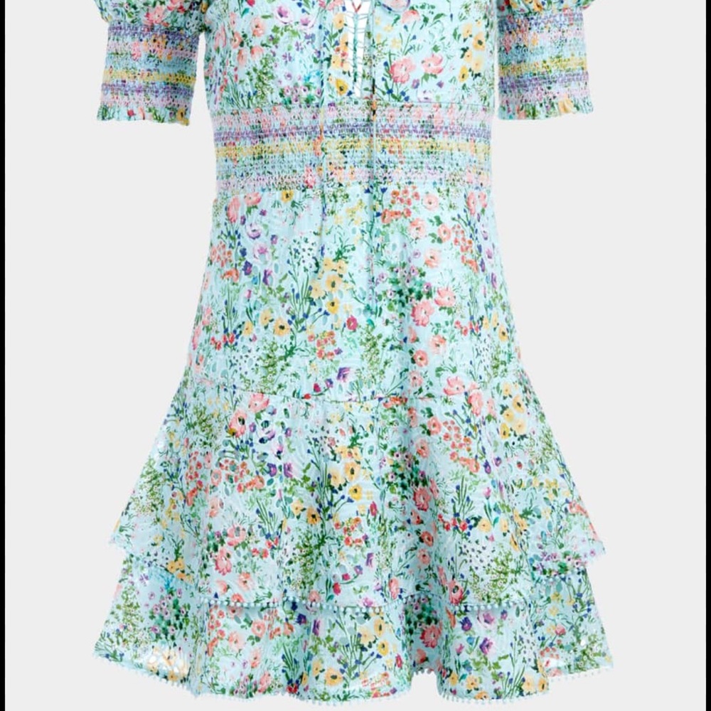 Alice + Olivia Dress - Picture 2 of 4